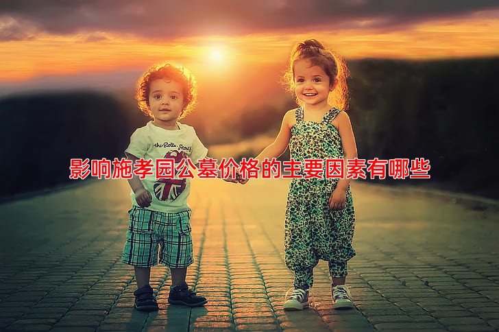 影响施孝园公墓价格的主要因素有哪些