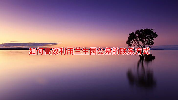 如何高效利用兰生园公墓的联系方式