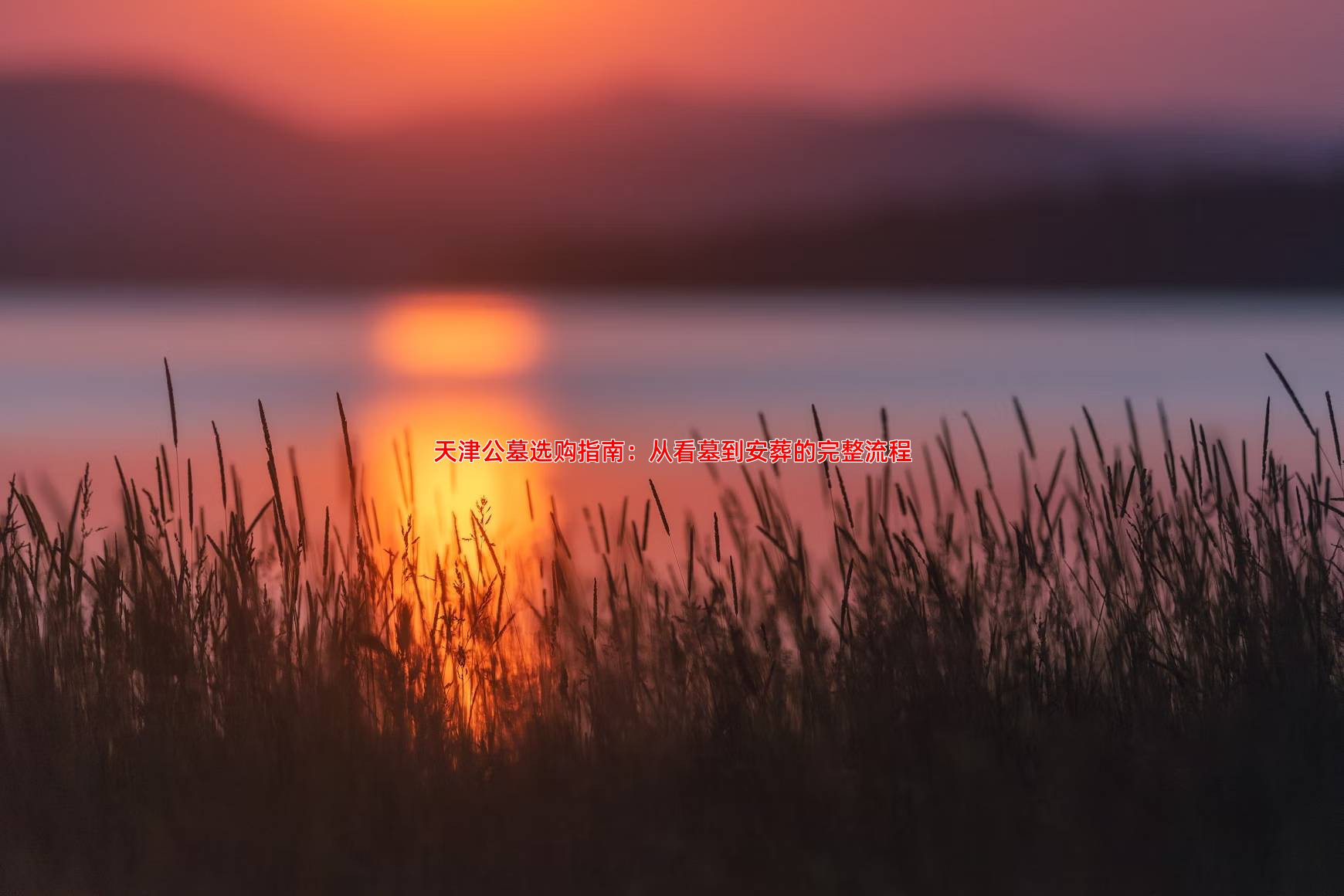 天津公墓选购指南：从看墓到安葬的完整流程