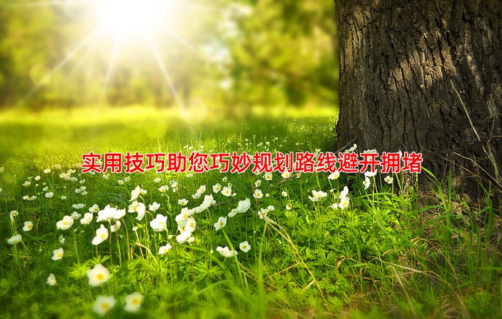 实用技巧助您巧妙规划路线避开拥堵