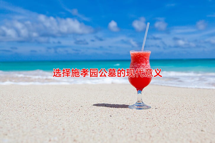 选择施孝园公墓的现代意义