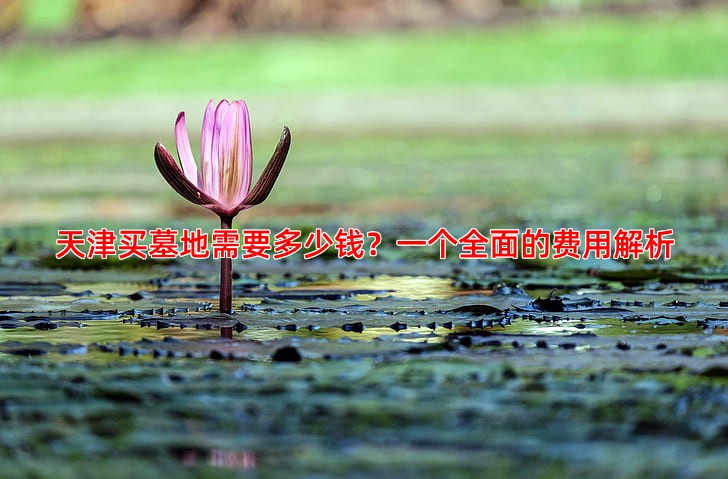 天津买墓地需要多少钱？一个全面的费用解析