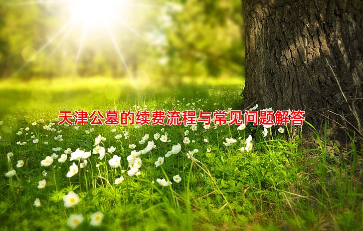 天津公墓的续费流程与常见问题解答