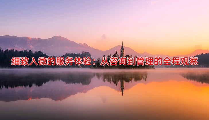 细致入微的服务体验：从咨询到管理的全程观察