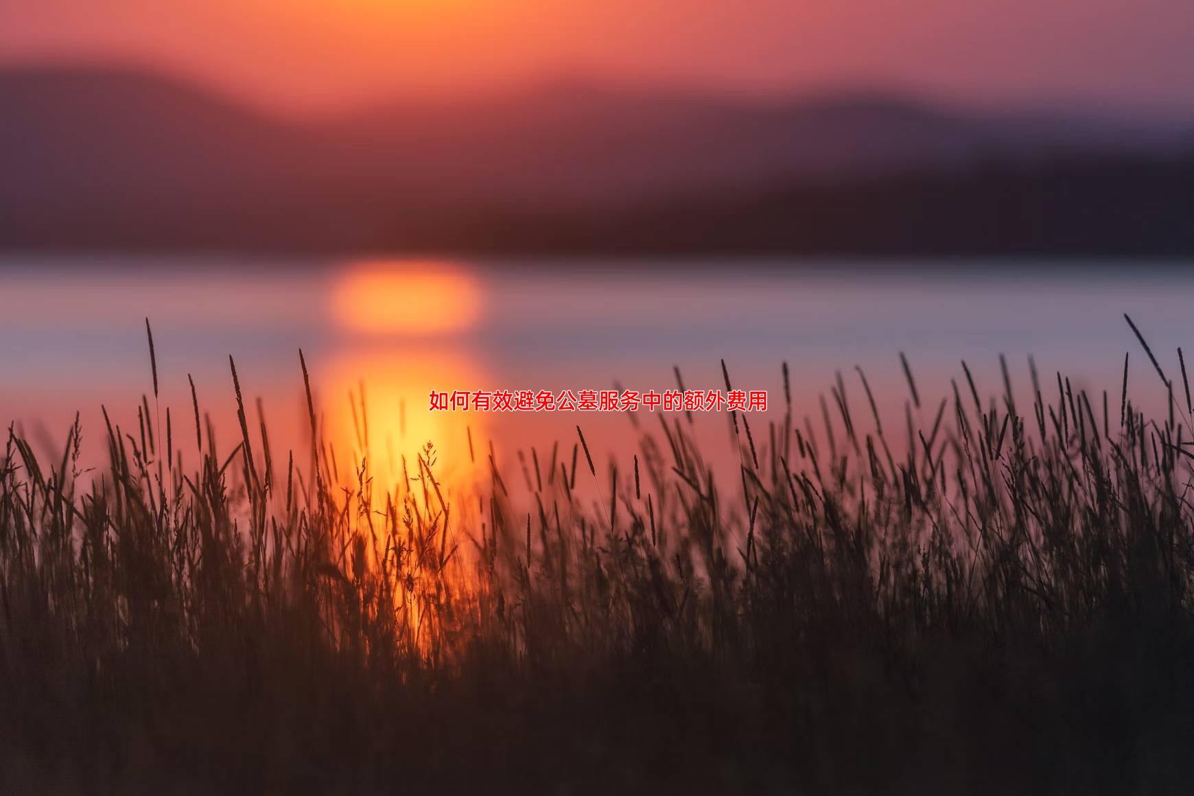 如何有效避免公墓服务中的额外费用