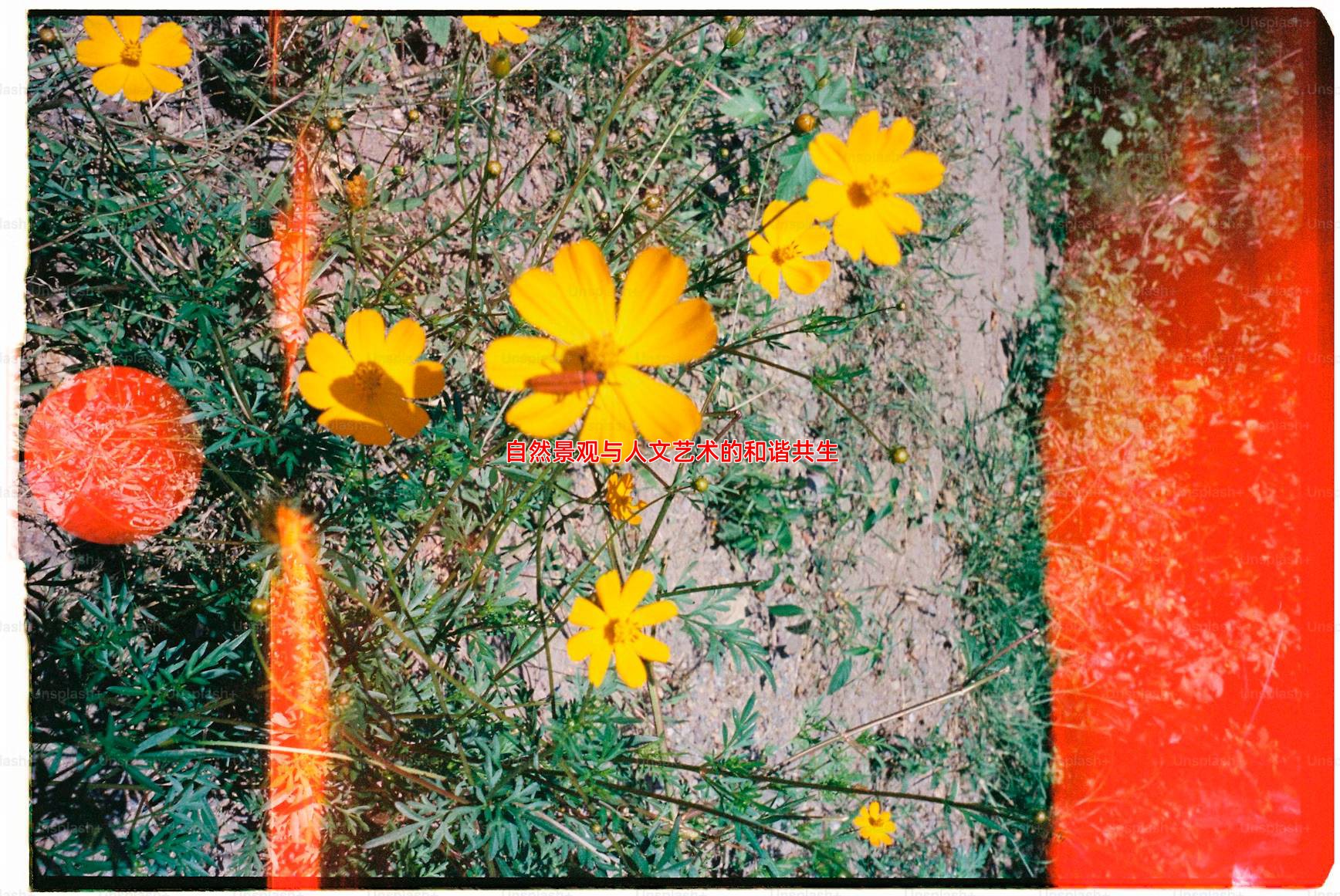 自然景观与人文艺术的和谐共生