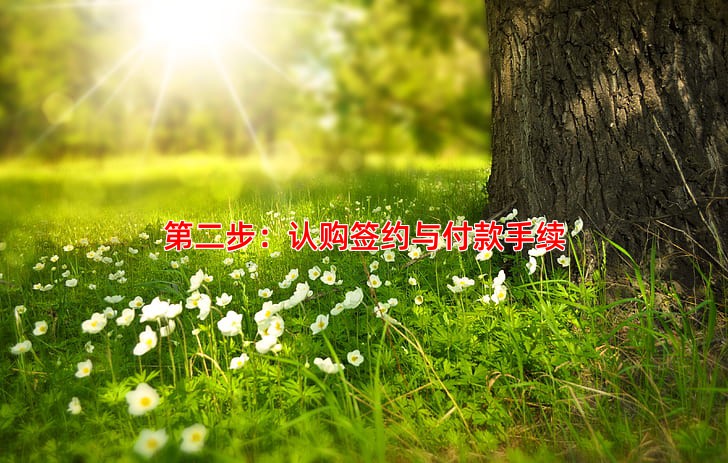 第二步：认购签约与付款手续