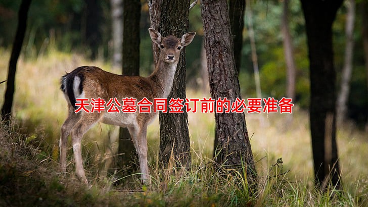 天津公墓合同签订前的必要准备