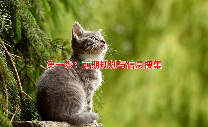 ******步：前期规划与信息搜集
