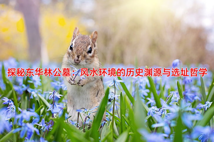 探秘东华林公墓风水环境与选址讲究