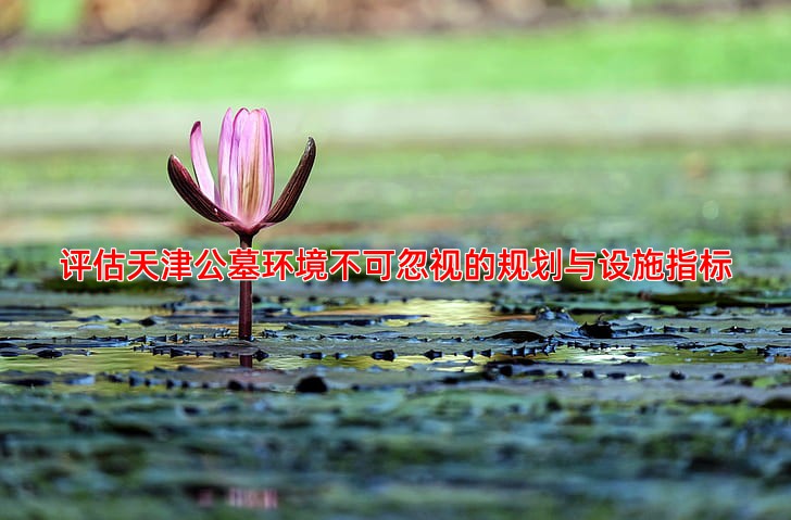 评估天津公墓环境不可忽视的规划与设施指标