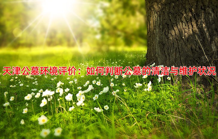 天津公墓环境评价：如何判断公墓的清洁与维护状况