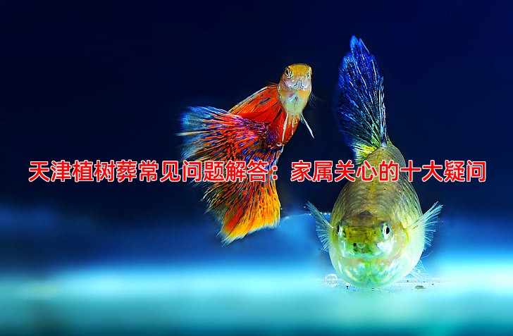 天津植树葬常见问题解答：家属关心的十大疑问