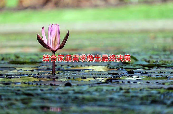 结合家庭需求做出终决策