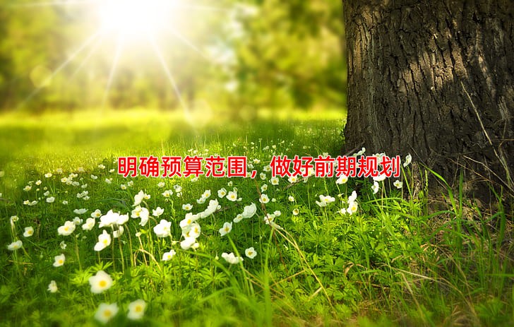明确预算范围，做好前期规划