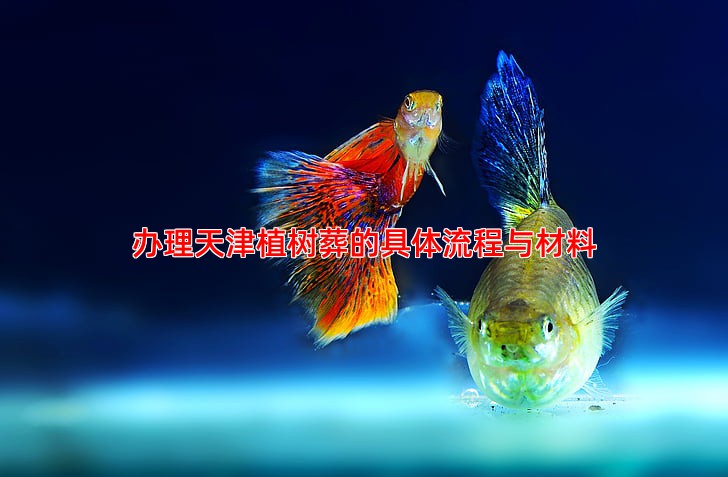办理天津植树葬的具体流程与材料