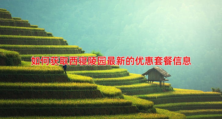 如何获取西寝陵园新的优惠套餐信息