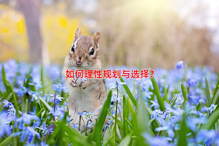 如何理性规划与选择？