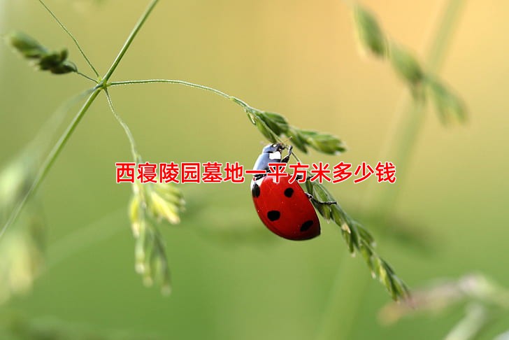 西寝陵园墓地一平方米多少钱