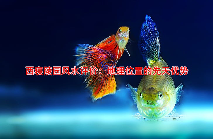 西寝陵园风水评价：地理位置的先天优势