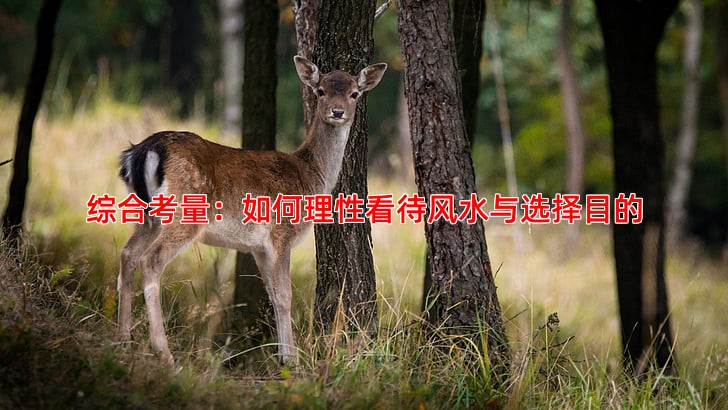 综合考量：如何理性看待风水与选择目的