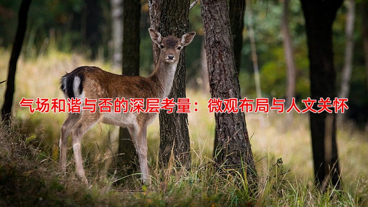 气场和谐与否的深层考量：微观布局与人文关怀