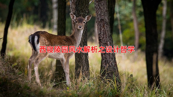 西寝陵园风水解析之设计哲学