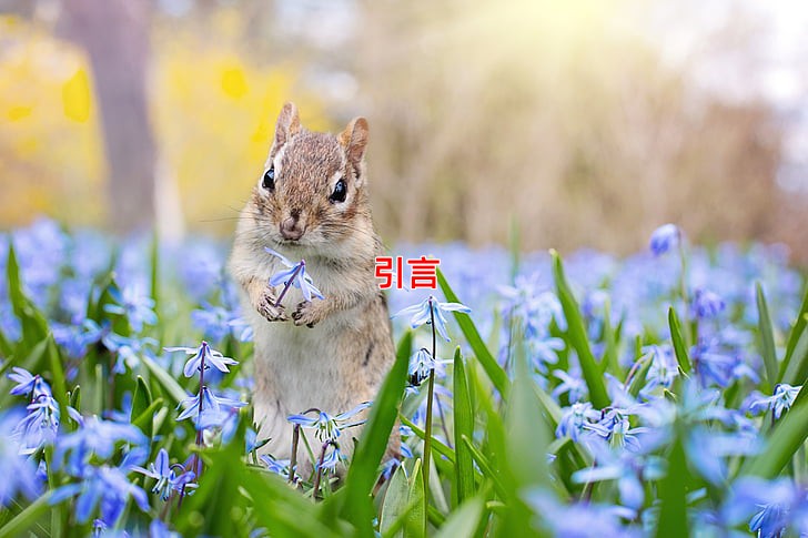 如何选择东华林公墓的墓位 价格和风水怎么兼顾