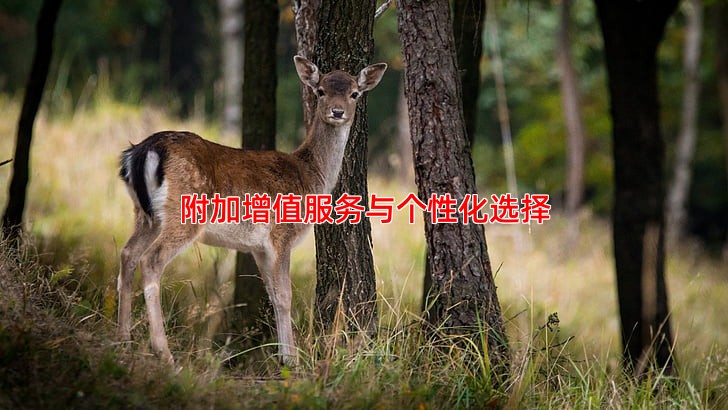 附加增值服务与个性化选择
