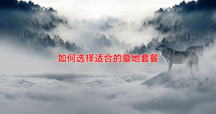 如何选择适合的墓地套餐