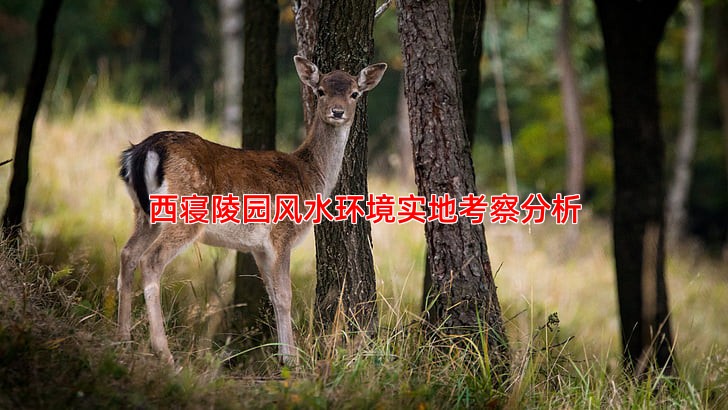西寝陵园风水环境实地考察分析