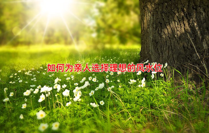 如何为亲人选择理想的风水位