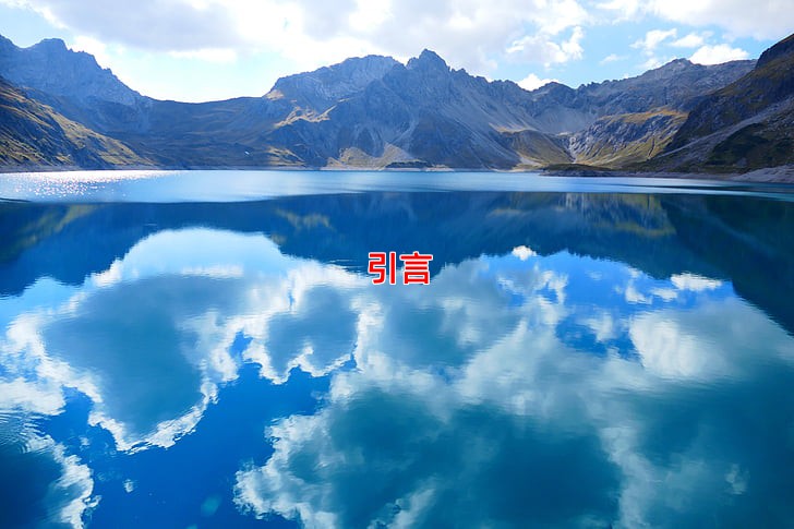 引言
