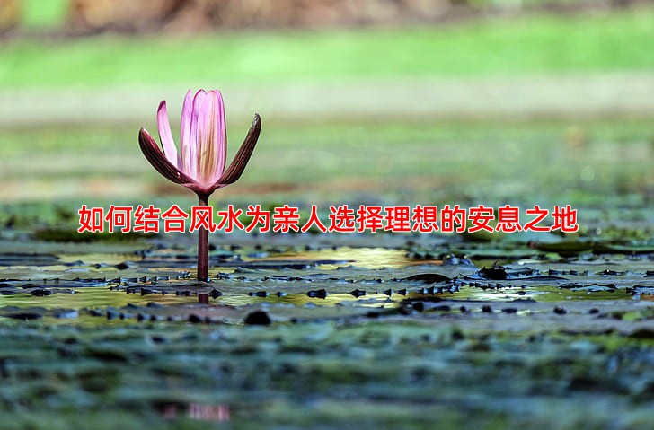 如何结合风水为亲人选择理想的安息之地