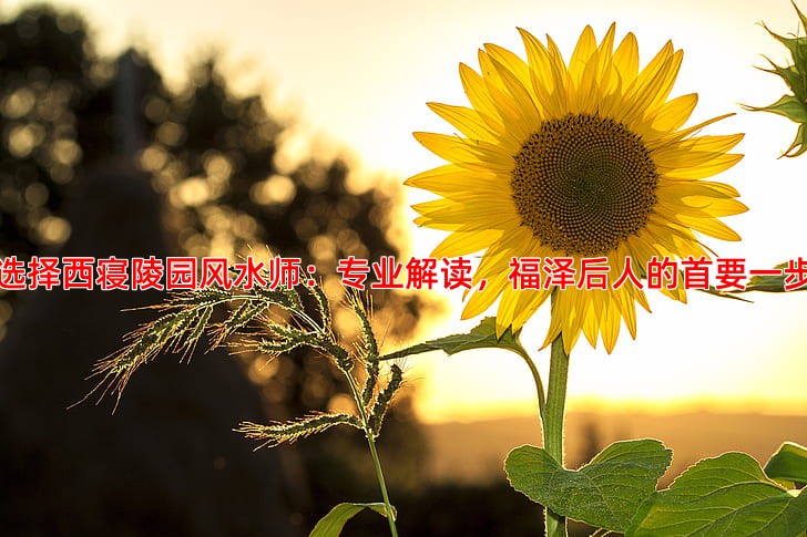 选择西寝陵园风水师：专业解读，福泽后人的首要一步