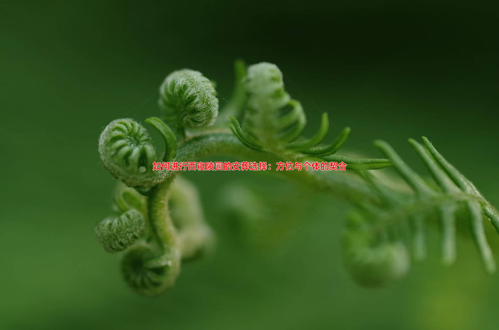 如何进行西寝陵园的安葬选择：方位与个体的契合