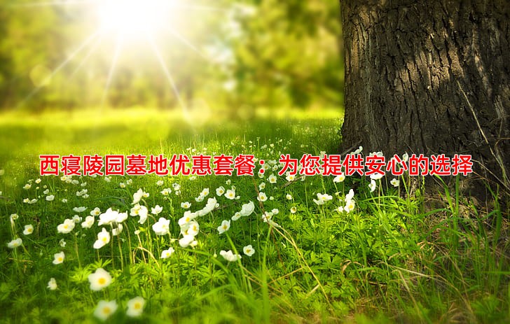 西寝陵园墓地优惠套餐：为您提供安心的选择