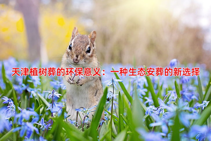 天津植树葬的环保意义：一种生态安葬的新选择