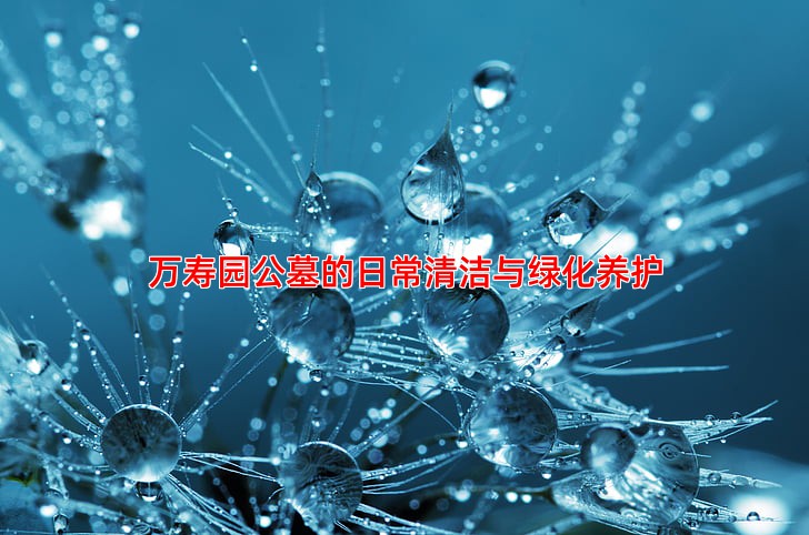 万寿园公墓的日常清洁与绿化养护