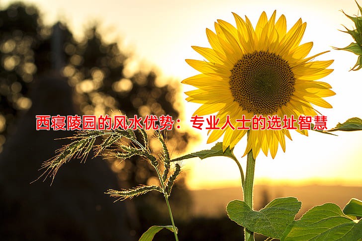 西寝陵园的风水优势：专业人士的选址智慧