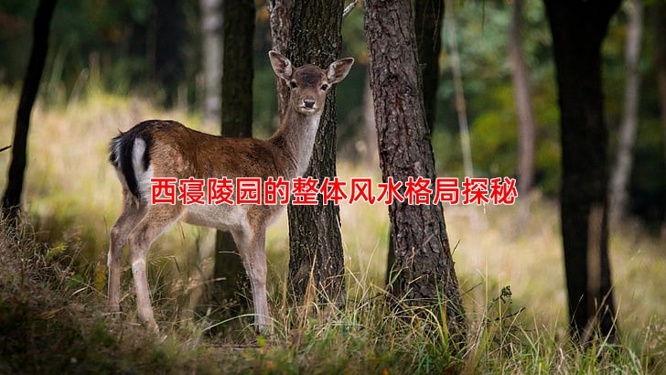 西寝陵园的整体风水格局探秘
