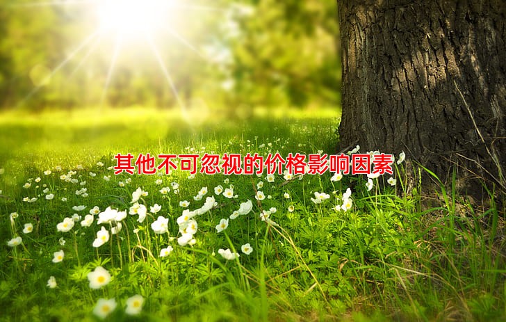 其他不可忽视的价格影响因素