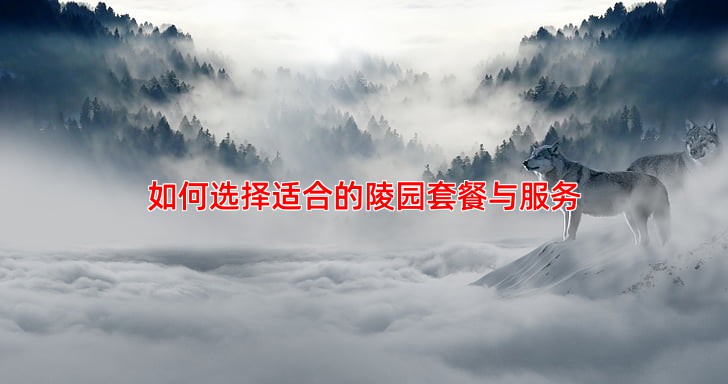 如何选择适合的陵园套餐与服务