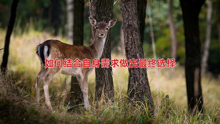如何结合自身需求做出终选择