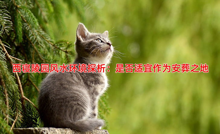 西寝陵园风水环境探析：是否适宜作为安葬之地