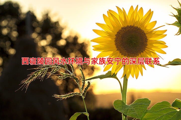 西寝陵园风水环境与家族安宁的深层联系