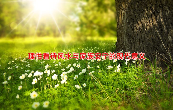 理性看待风水与家族安宁的现代意义