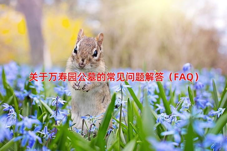 关于万寿园公墓的常见问题解答（FAQ）