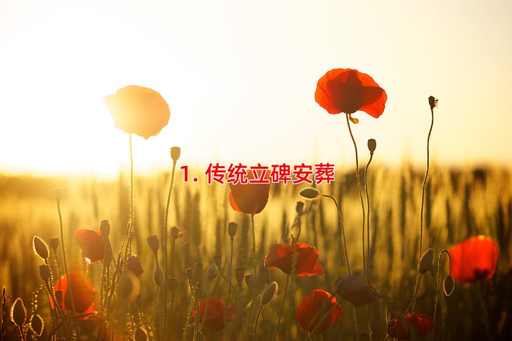 1. 传统立碑安葬