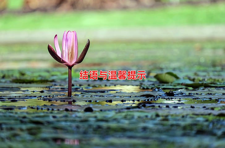 结语与温馨提示